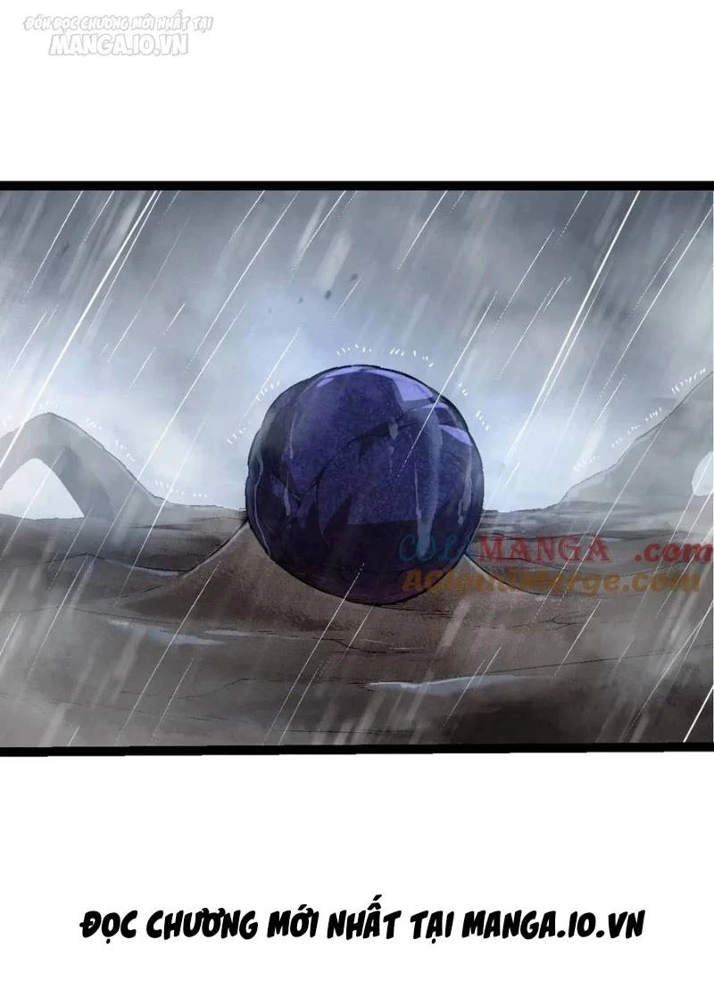 Chuyển Sinh Thành Liễu Đột Biến Chapter 226 - Trang 4