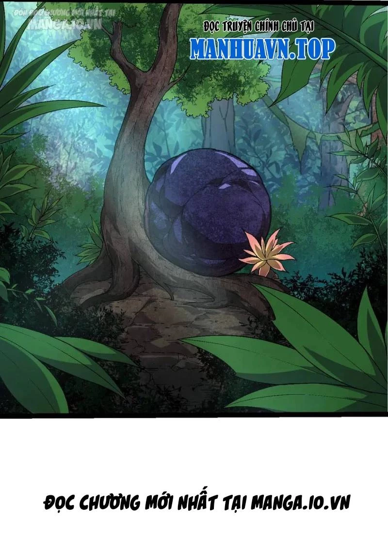 Chuyển Sinh Thành Liễu Đột Biến Chapter 226 - Trang 4