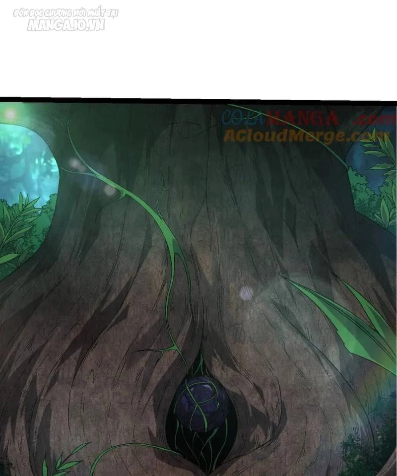 Chuyển Sinh Thành Liễu Đột Biến Chapter 226 - Trang 4