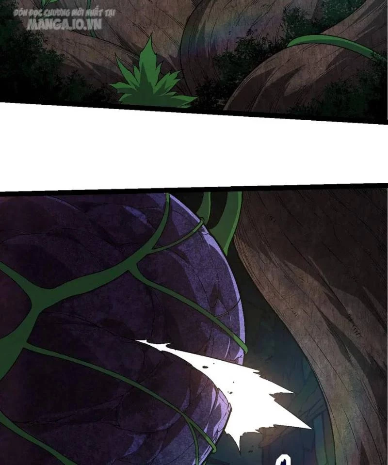 Chuyển Sinh Thành Liễu Đột Biến Chapter 226 - Trang 4