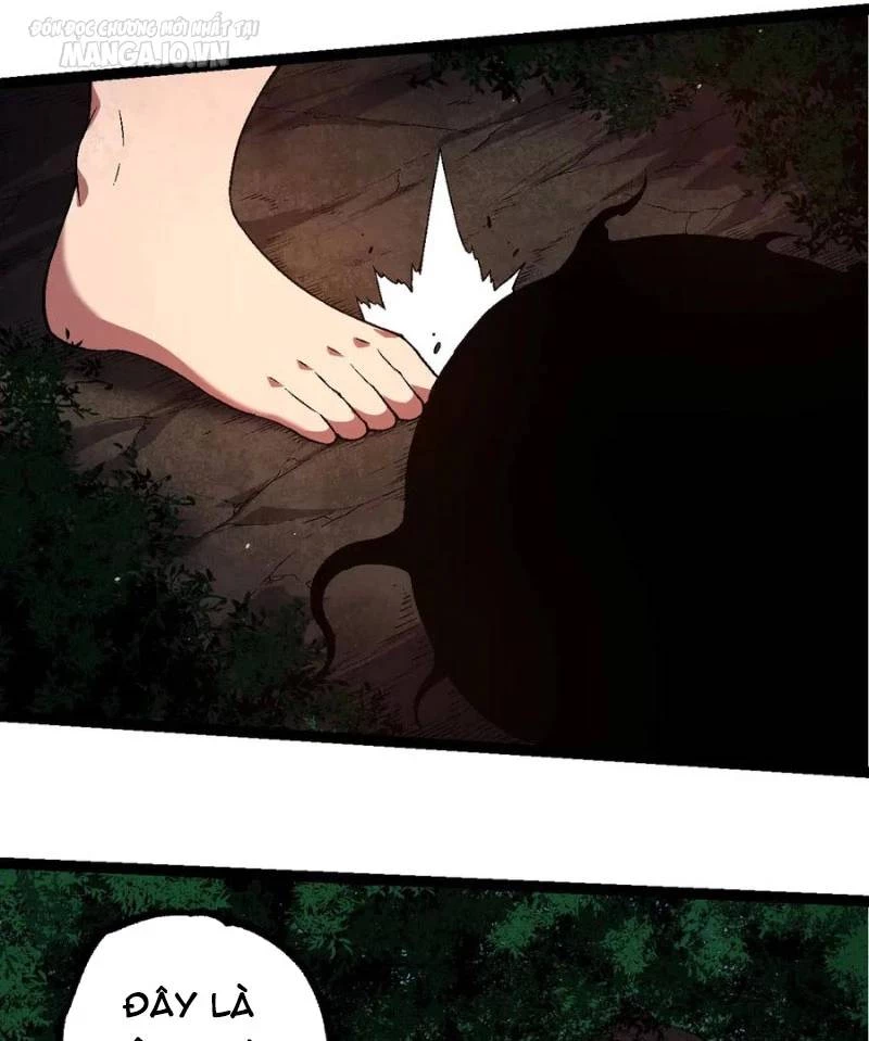 Chuyển Sinh Thành Liễu Đột Biến Chapter 226 - Trang 4