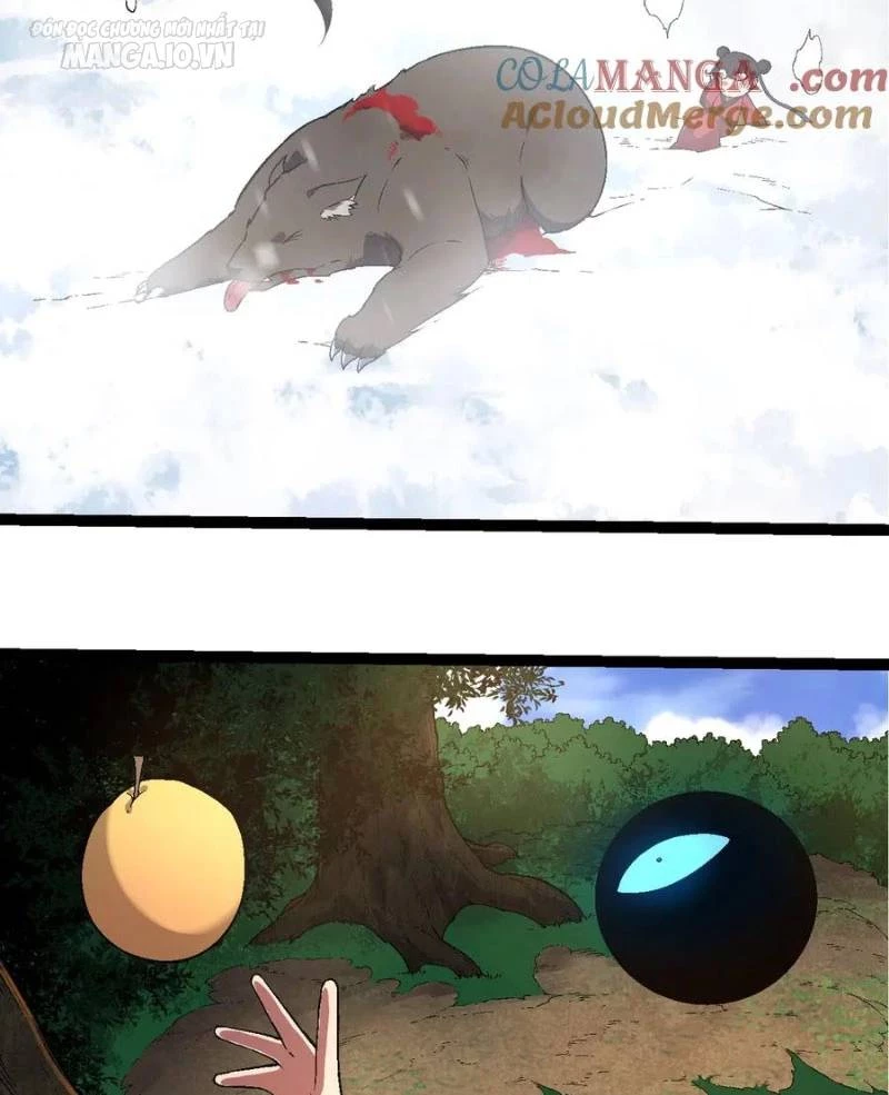 Chuyển Sinh Thành Liễu Đột Biến Chapter 226 - Trang 4