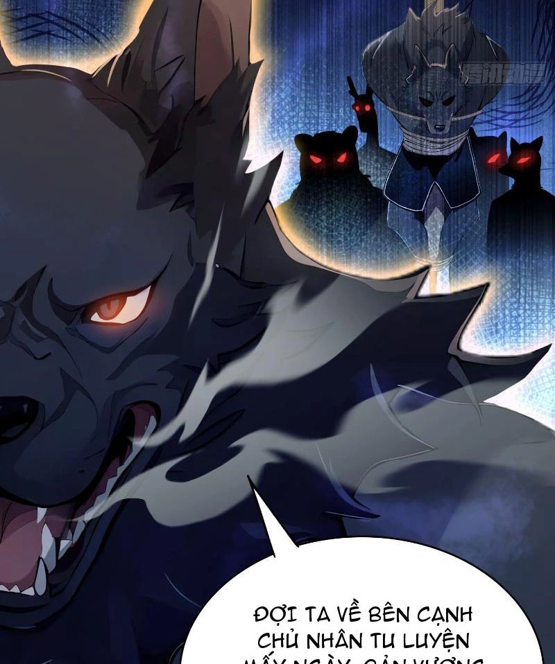 Hoá Ra Ta Đã Vô Địch Từ Lâu Chapter 6 - Trang 4