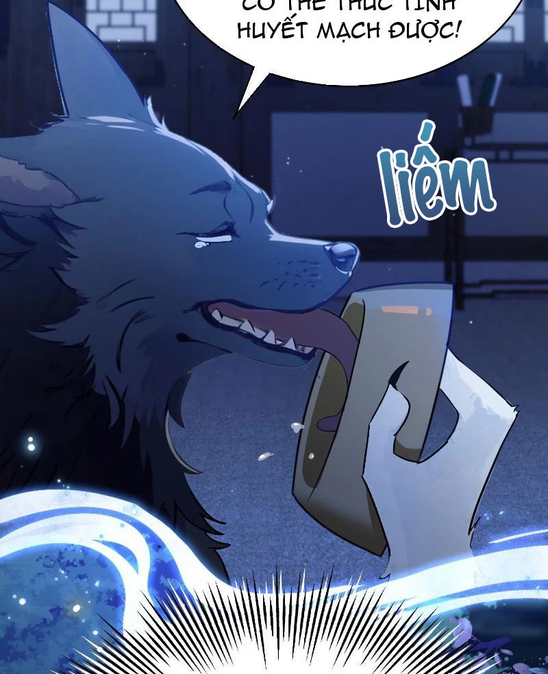 Hoá Ra Ta Đã Vô Địch Từ Lâu Chapter 6 - Trang 4