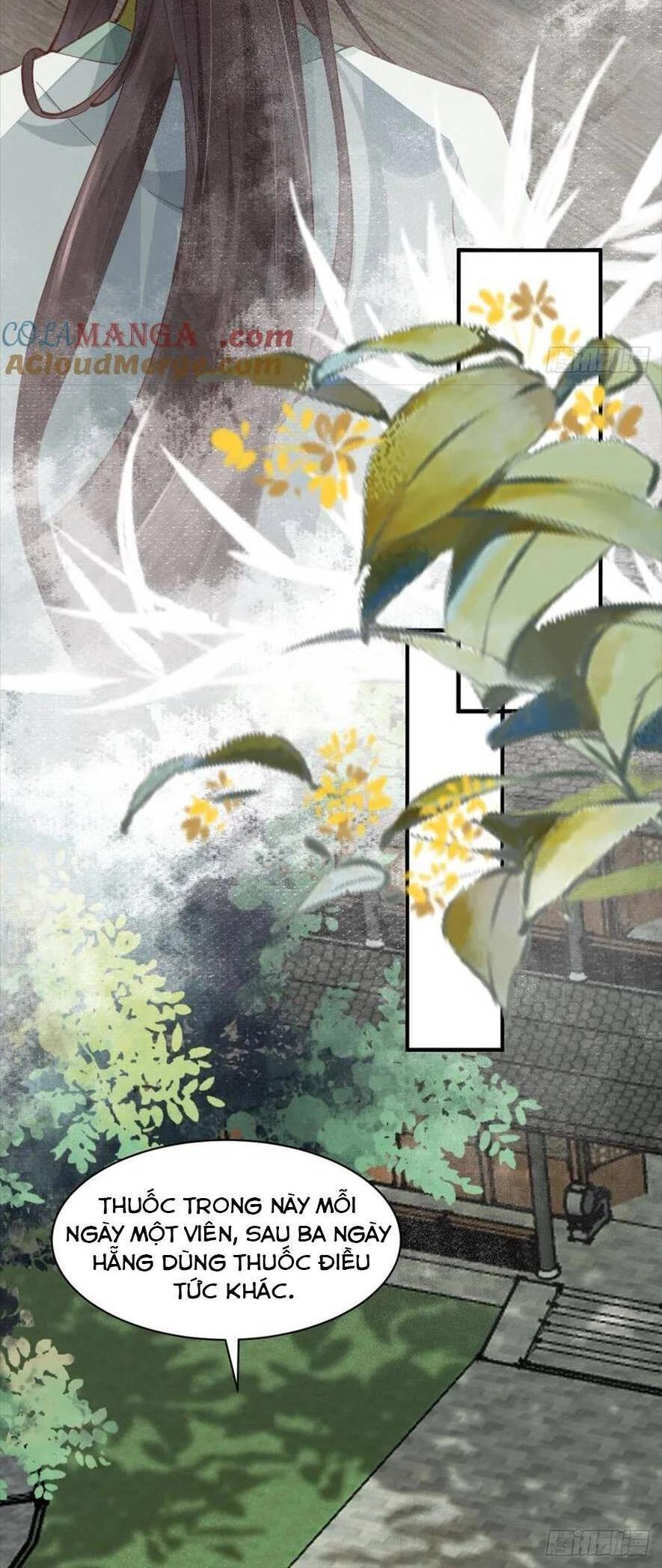 Tuyệt Sắc Quyến Rũ: Quỷ Y Chí Tôn Chapter 537 - Trang 2