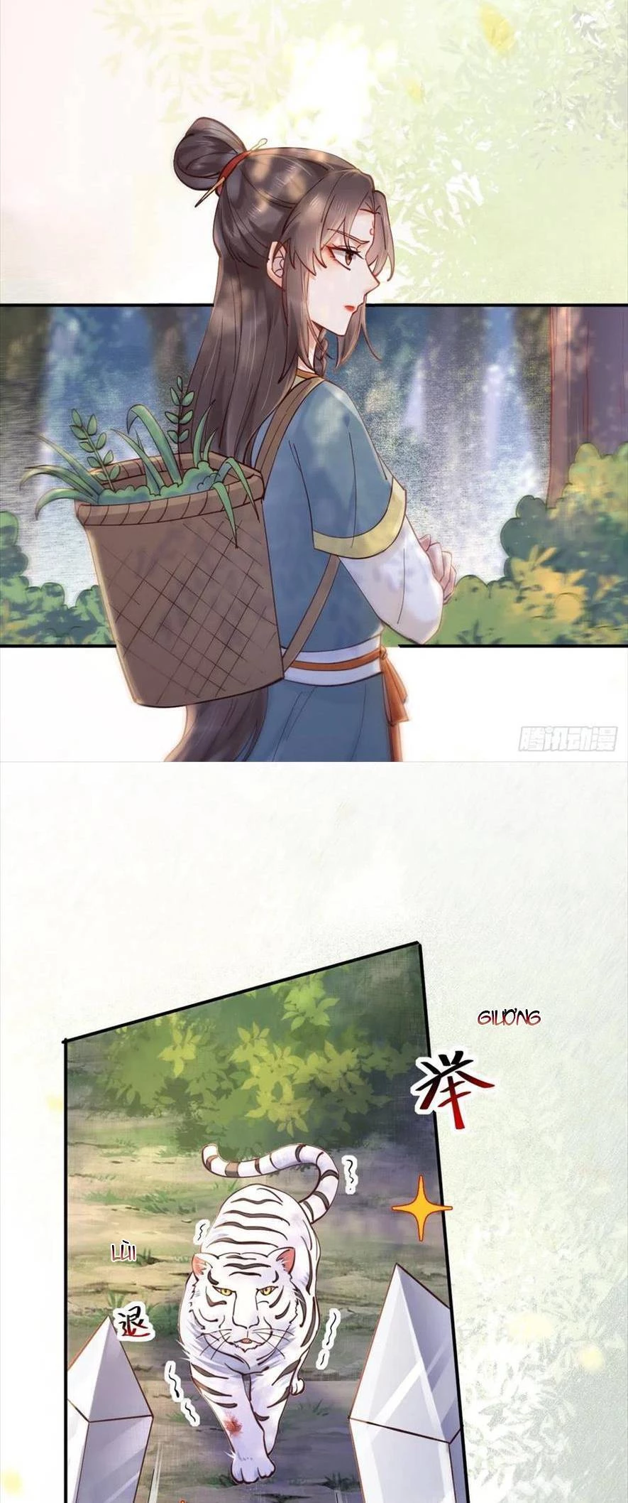 Tuyệt Sắc Quyến Rũ: Quỷ Y Chí Tôn Chapter 538 - Trang 2