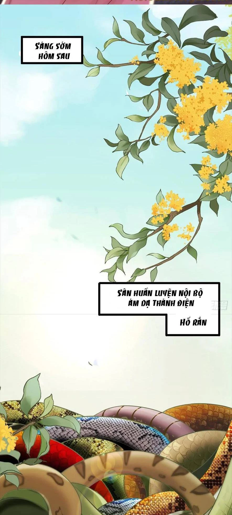 Tuyệt Sắc Quyến Rũ: Quỷ Y Chí Tôn Chapter 554 - Trang 2