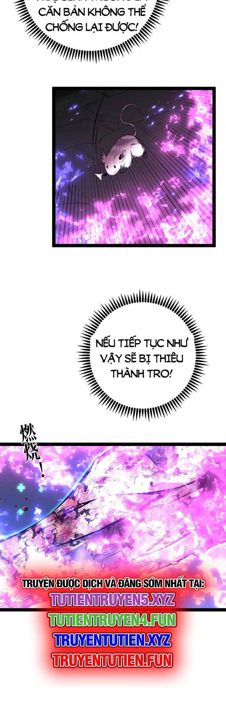 Thiên Phú Của Ngươi, Giờ Là Của Ta Chapter 81 - Trang 4