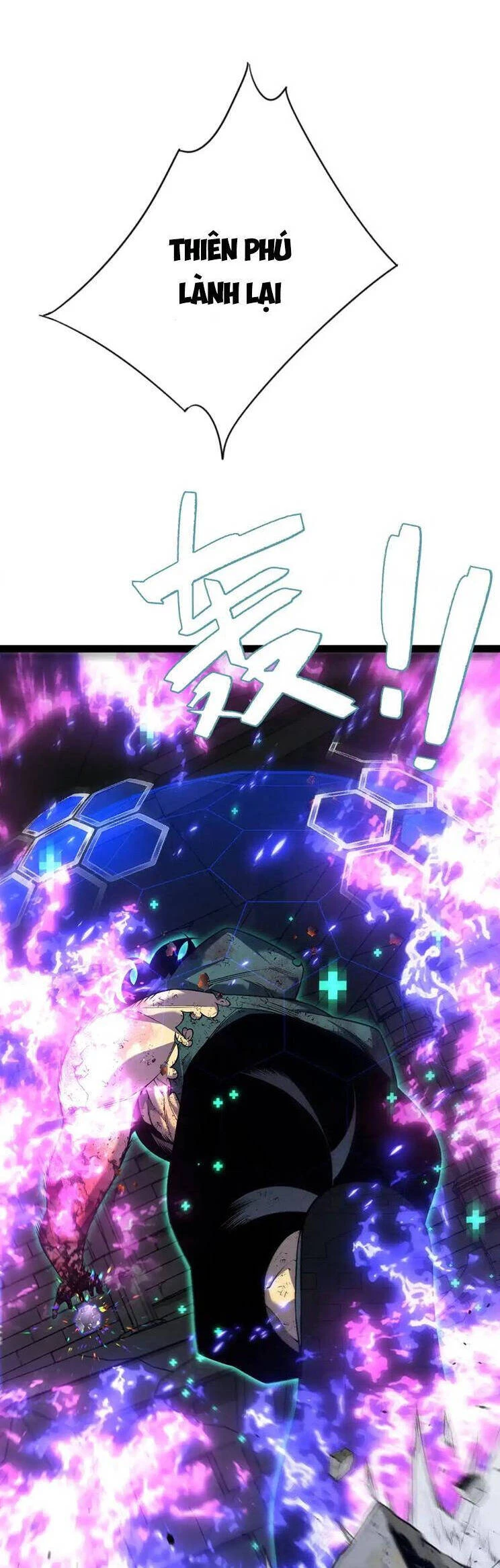 Thiên Phú Của Ngươi, Giờ Là Của Ta Chapter 81 - Trang 4