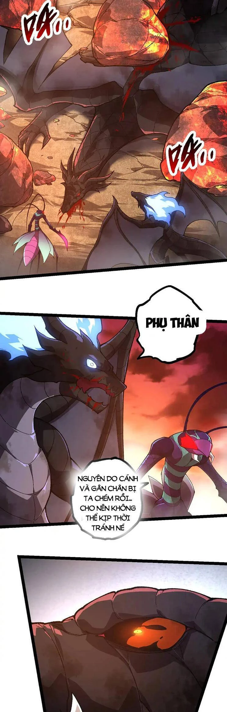 Chuyển Sinh Thành Liễu Đột Biến Chapter 232 - Trang 4