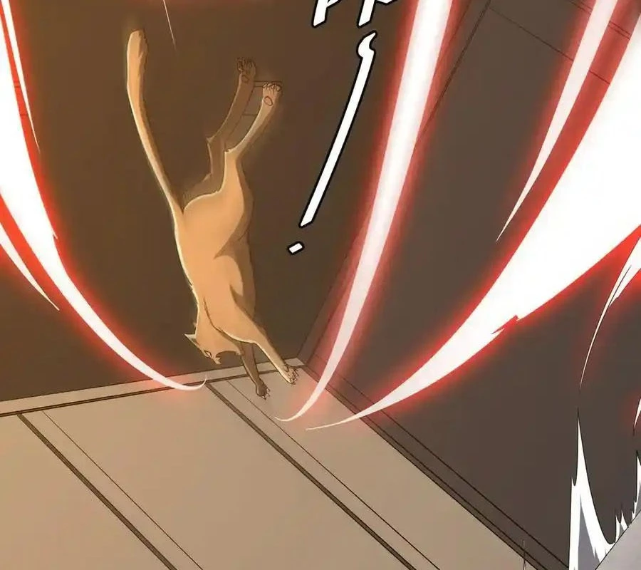 Bắt Đầu Với Trăm Vạn Minh Tệ Chapter 149 - Trang 4