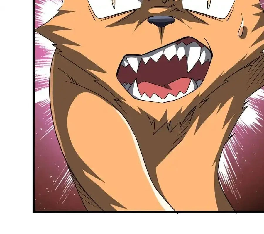 Bắt Đầu Với Trăm Vạn Minh Tệ Chapter 149 - Trang 4