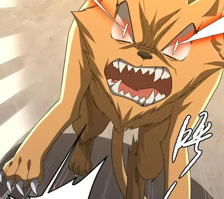 Bắt Đầu Với Trăm Vạn Minh Tệ Chapter 149 - Trang 4