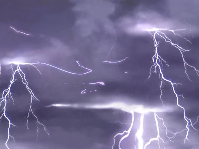 Ta Làm Súc Vật Ở Tu Tiên Giới Chapter 0 - Trang 2