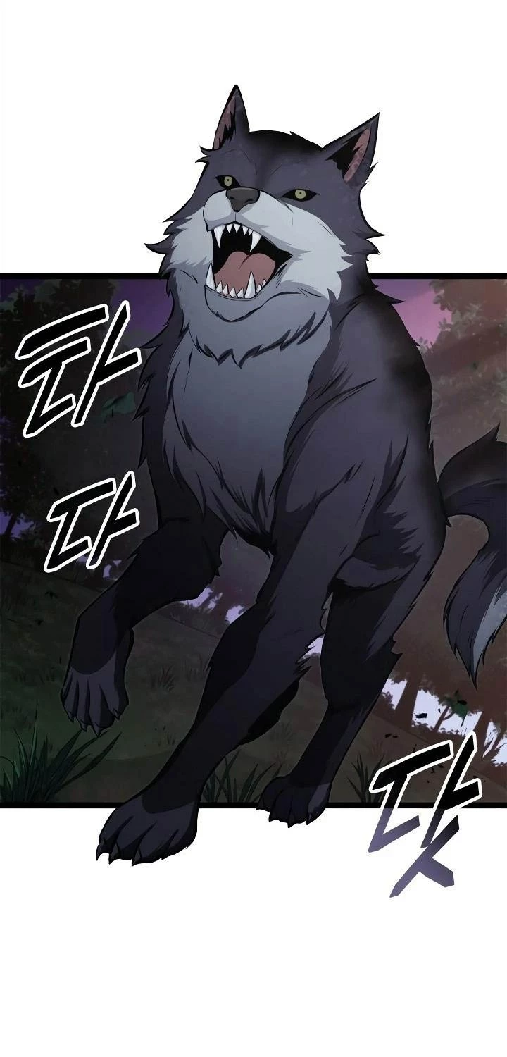 Nhà Vô Địch Kalli Chapter 64 - Trang 4