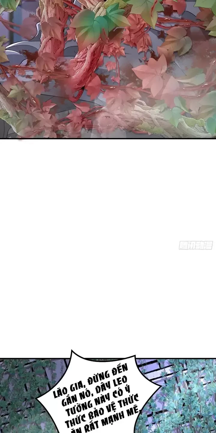 Đệ Nhất Danh Sách Chapter 322 - Trang 4