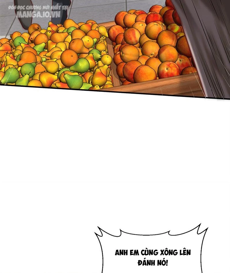 Mỗi Tuần Ta Có Một Nghề Nghiệp Mới Chapter 546 - Trang 2