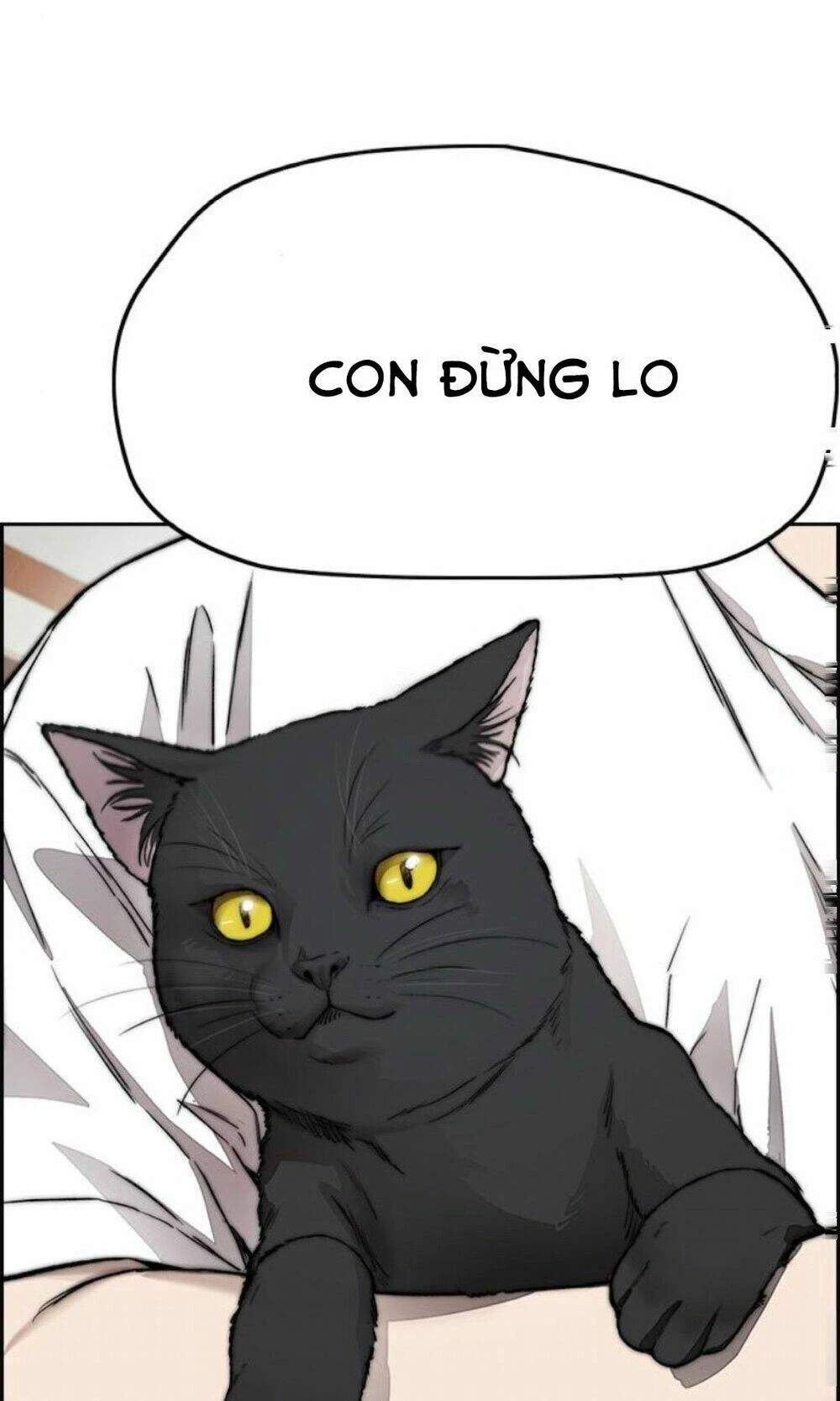 Thể Thao Cực Hạn Chapter 391 - Trang 3