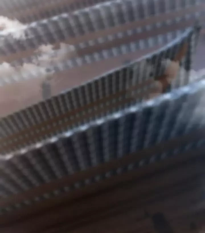 Ta Nắm Thóp Được Khí Vận Chi Tử Chapter 34 - Trang 4