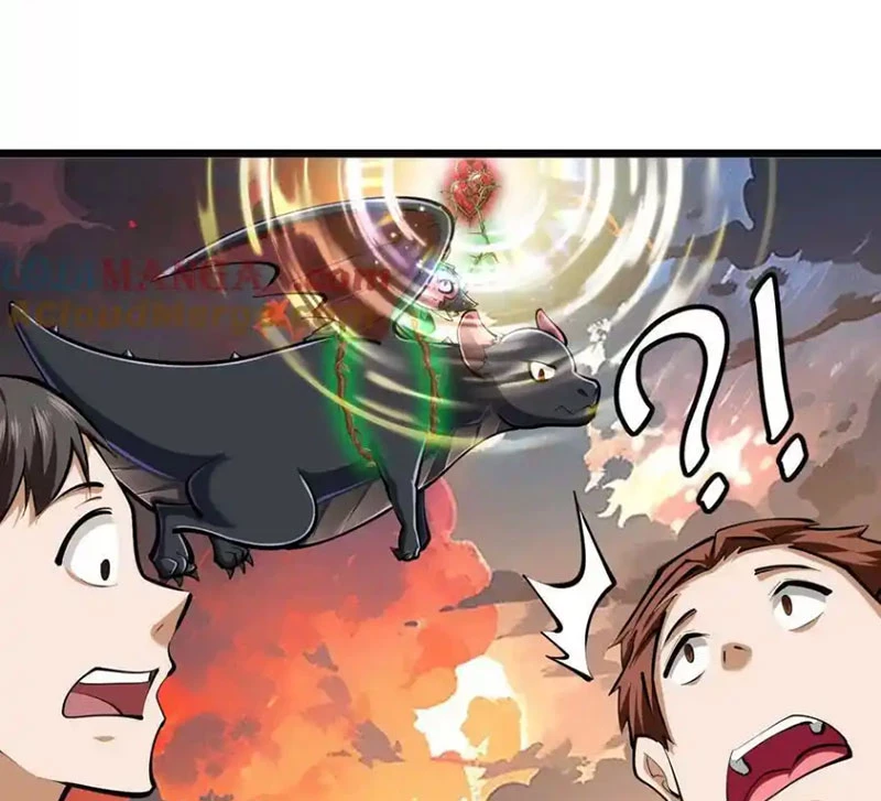 Thôn phệ đi, đại chùy hoa Chapter 51 - Trang 2