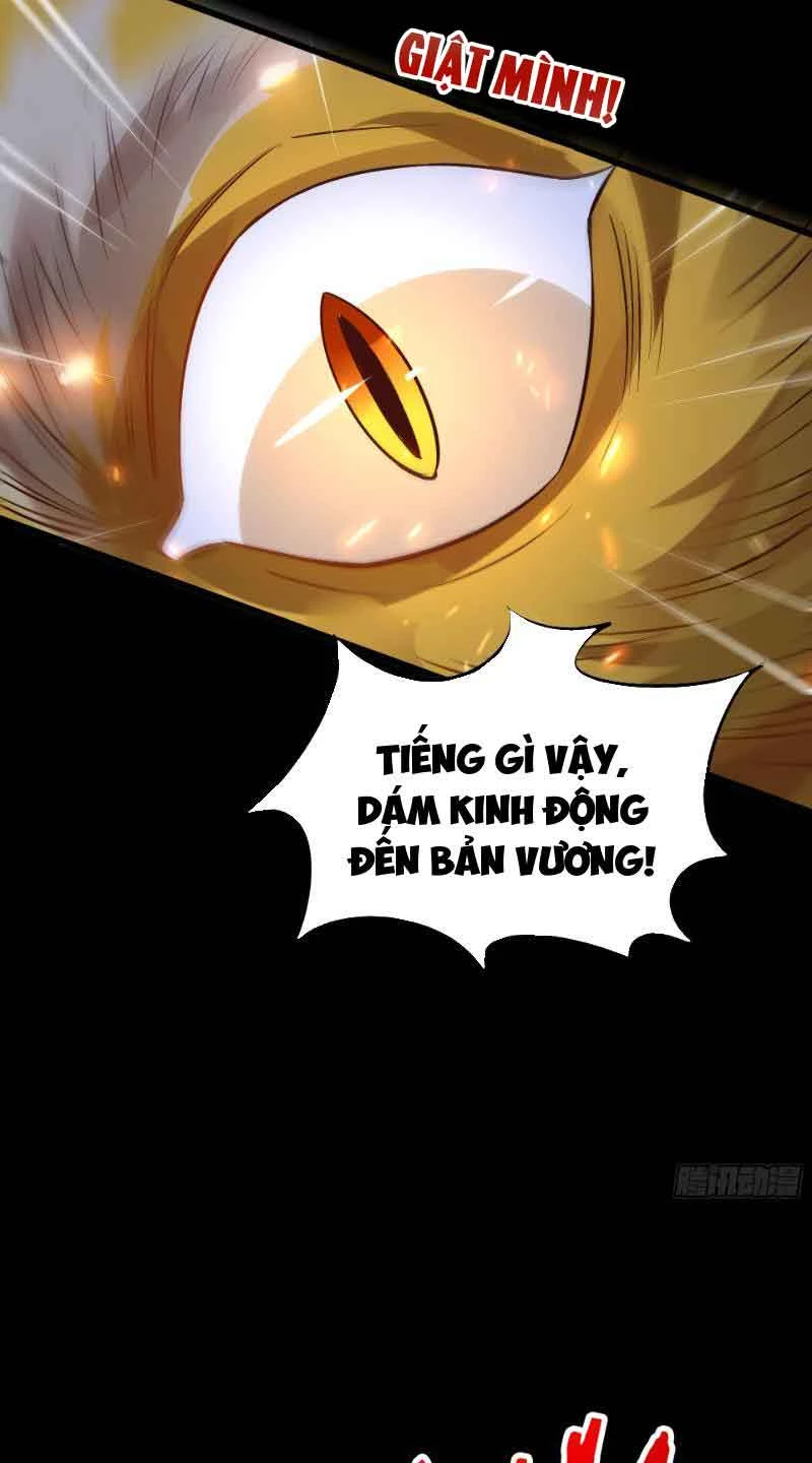 Ta Thực Sự Không Muốn Làm Thần Tiên Chapter 13 - Trang 3