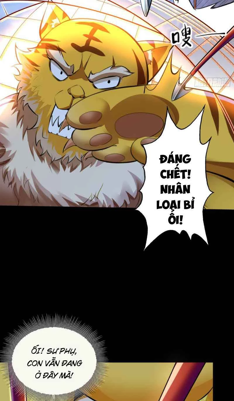 Ta Thực Sự Không Muốn Làm Thần Tiên Chapter 13 - Trang 3