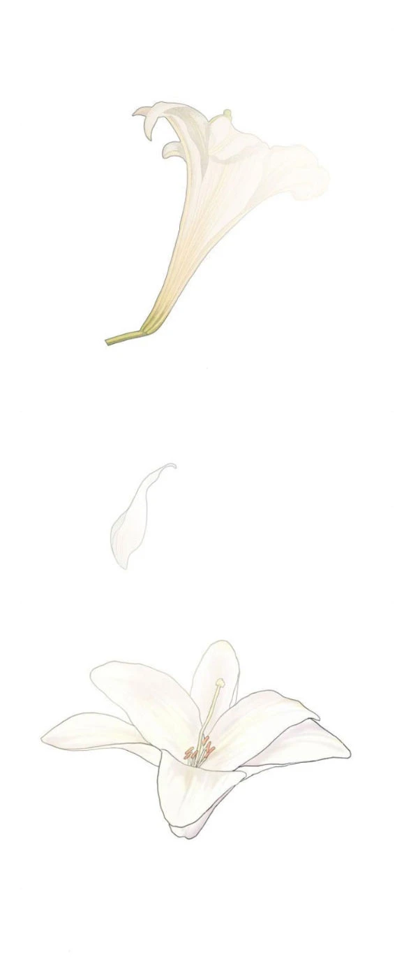 Chị Gái À, Kiếp Này Em Chính Là Nữ Hoàng Chapter 102 - Trang 2