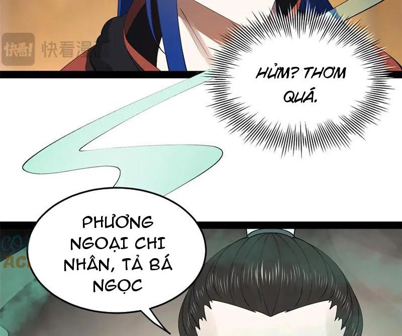 Chàng Rể Mạnh Nhất Lịch Sử Chapter 211 - Trang 4