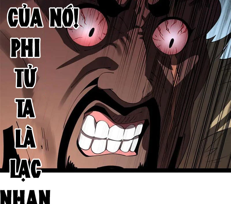 Chàng Rể Mạnh Nhất Lịch Sử Chapter 211 - Trang 4