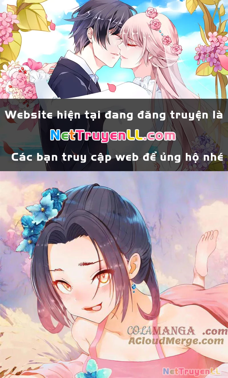Chàng Rể Mạnh Nhất Lịch Sử Chapter 213 - Trang 4