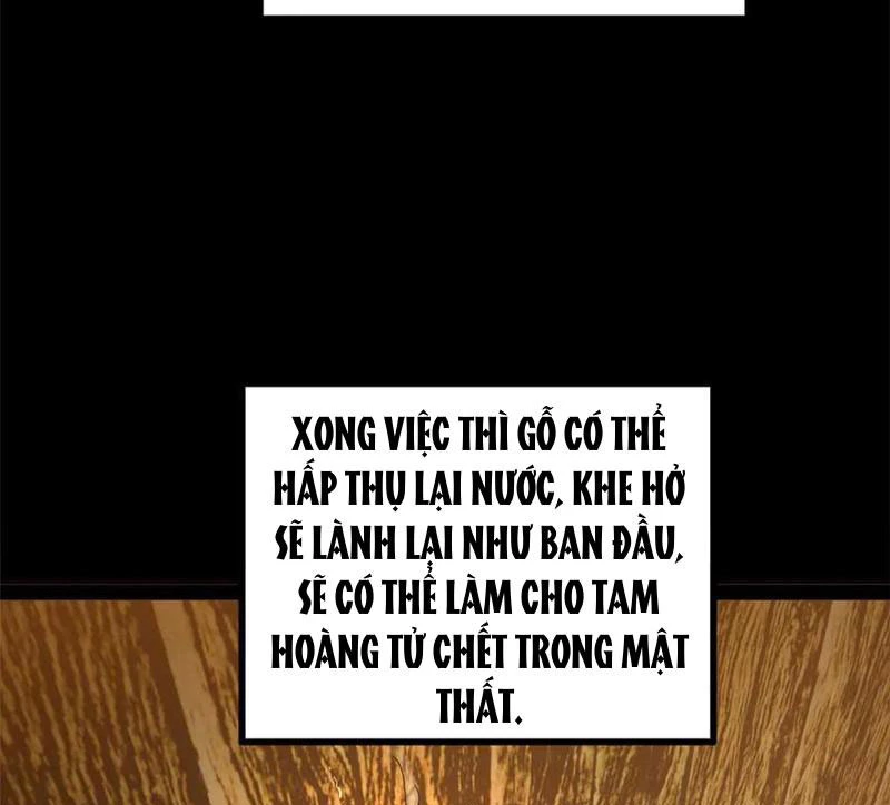 Chàng Rể Mạnh Nhất Lịch Sử Chapter 213 - Trang 4