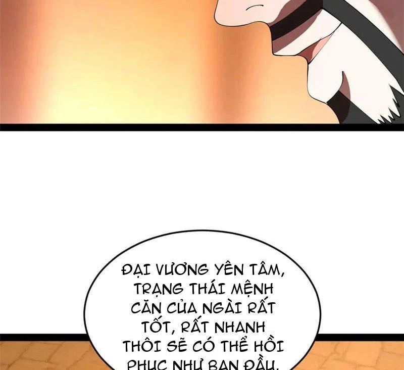Chàng Rể Mạnh Nhất Lịch Sử Chapter 213 - Trang 4