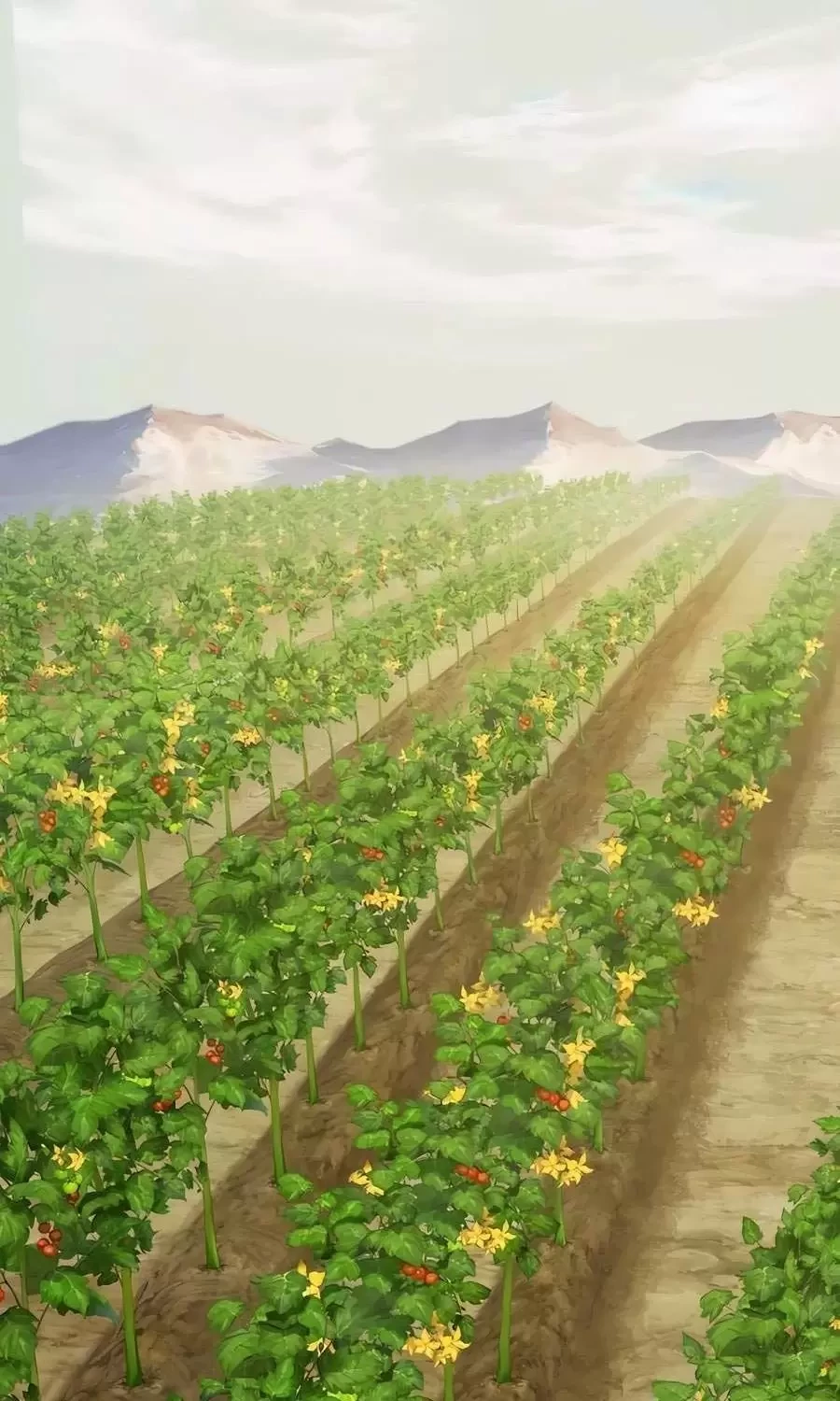 Làm Nông Dân Trong Tòa Tháp Thử Thách Chapter 71 - Trang 4