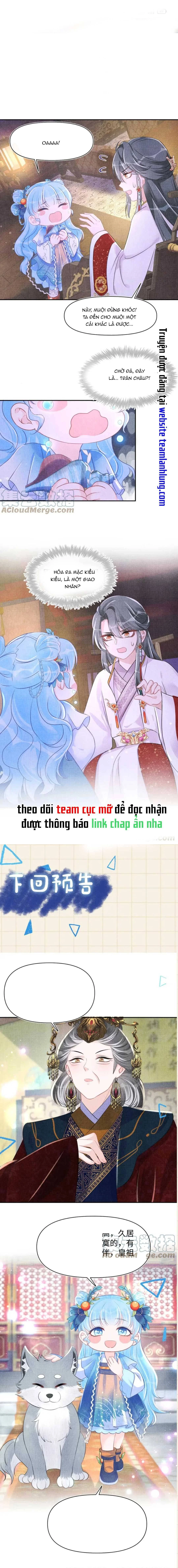 Nhóc Con Người Cá 3 Tuổi Rồi Chapter 124 - Trang 3