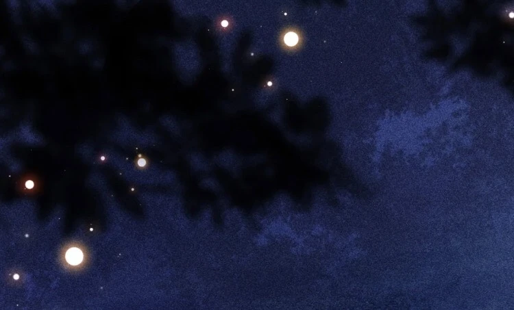 Phu Quân Hoàng Vị Thuộc Về Ta Chapter 1 - Trang 2