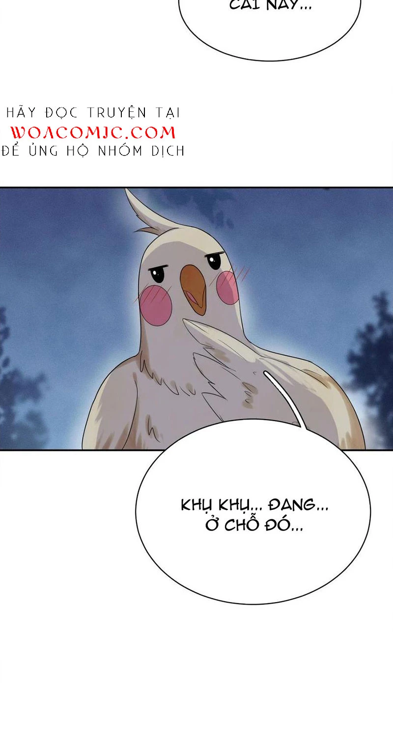 Phu Quân Hoàng Vị Thuộc Về Ta Chapter 18 - Trang 2