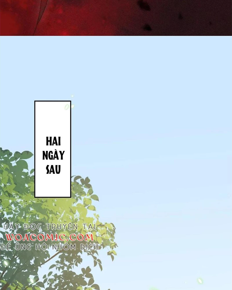 Phu Quân Hoàng Vị Thuộc Về Ta Chapter 28 - Trang 2