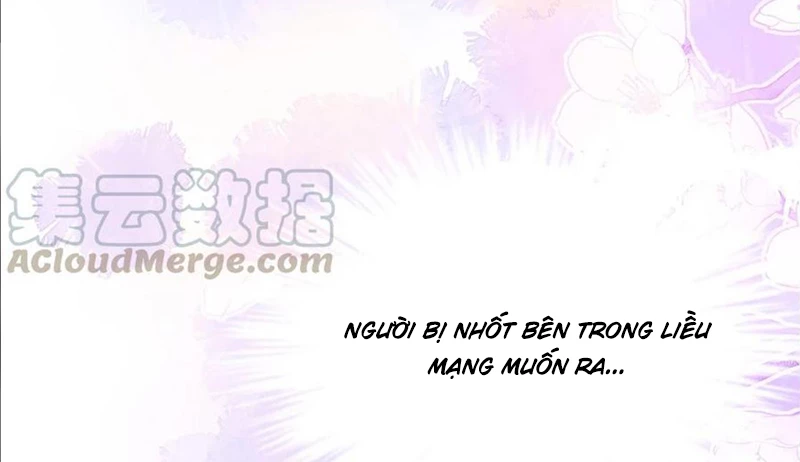 Phu Quân Hoàng Vị Thuộc Về Ta Chapter 36 - Trang 2