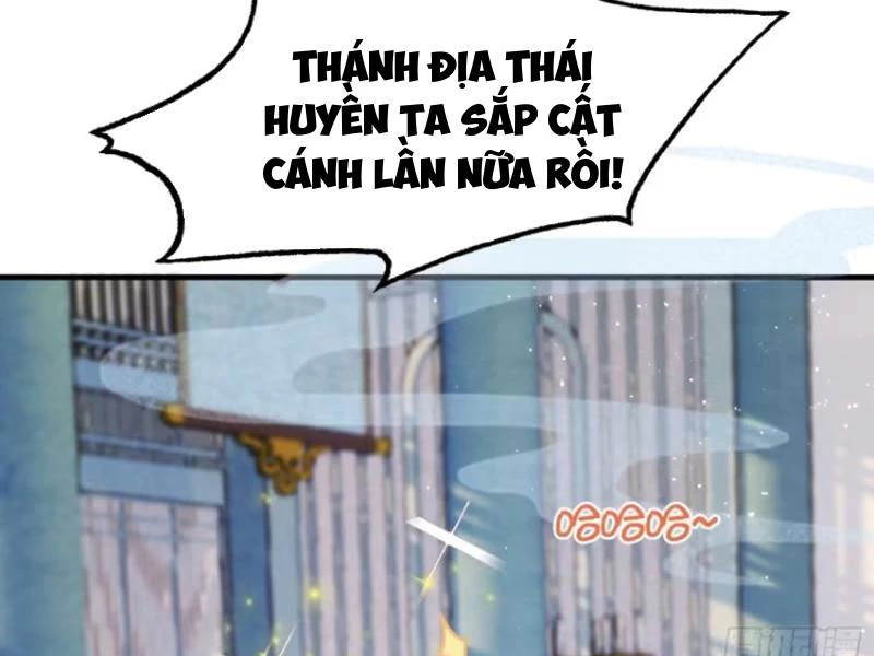 Hoá Ra Ta Đã Vô Địch Từ Lâu Chapter 13 - Trang 4