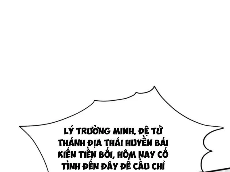 Hoá Ra Ta Đã Vô Địch Từ Lâu Chapter 16 - Trang 4