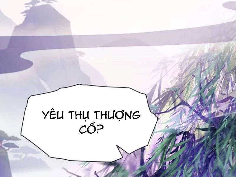 Hoá Ra Ta Đã Vô Địch Từ Lâu Chapter 25 - Trang 4