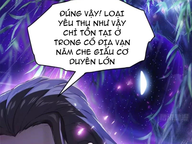 Hoá Ra Ta Đã Vô Địch Từ Lâu Chapter 25 - Trang 4