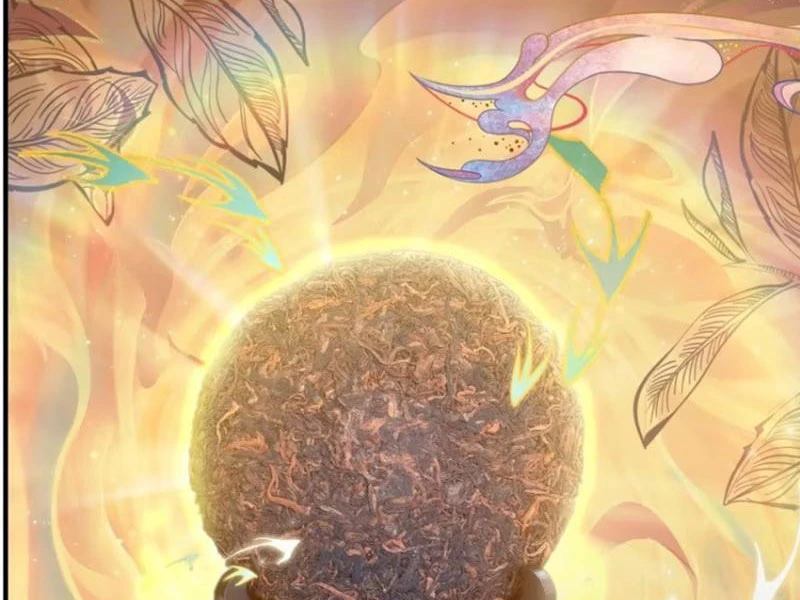 Hoá Ra Ta Đã Vô Địch Từ Lâu Chapter 26 - Trang 4