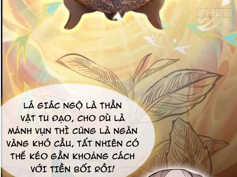 Hoá Ra Ta Đã Vô Địch Từ Lâu Chapter 26 - Trang 4