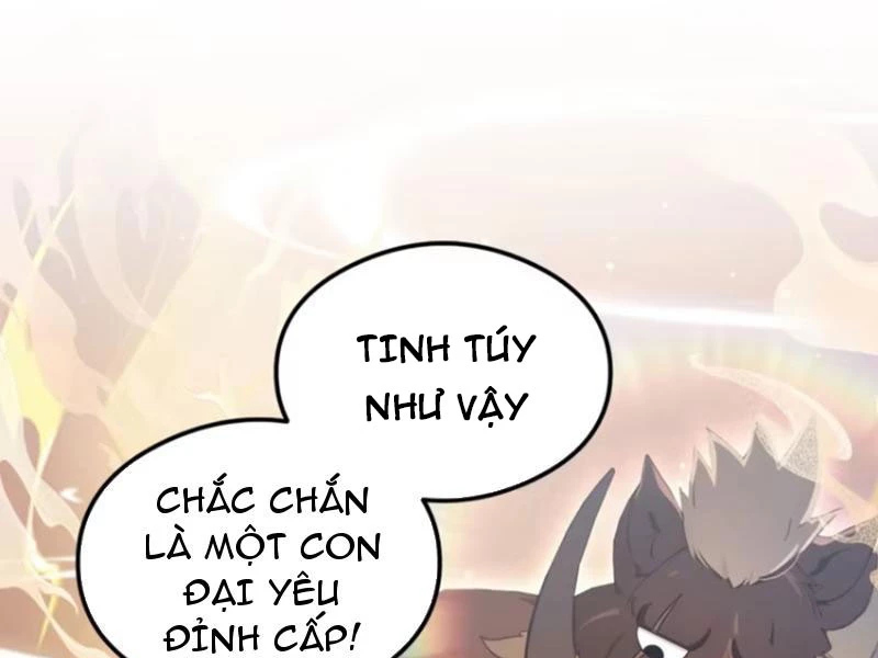 Hoá Ra Ta Đã Vô Địch Từ Lâu Chapter 31 - Trang 4