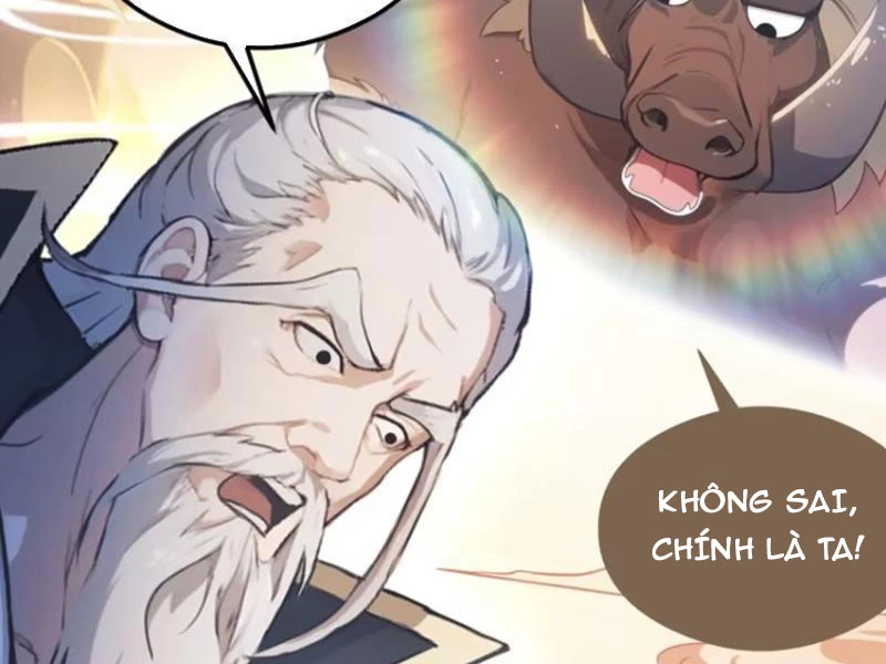 Hoá Ra Ta Đã Vô Địch Từ Lâu Chapter 31 - Trang 4