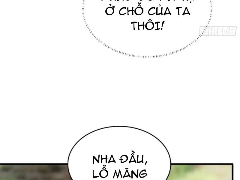 Hoá Ra Ta Đã Vô Địch Từ Lâu Chapter 31 - Trang 4