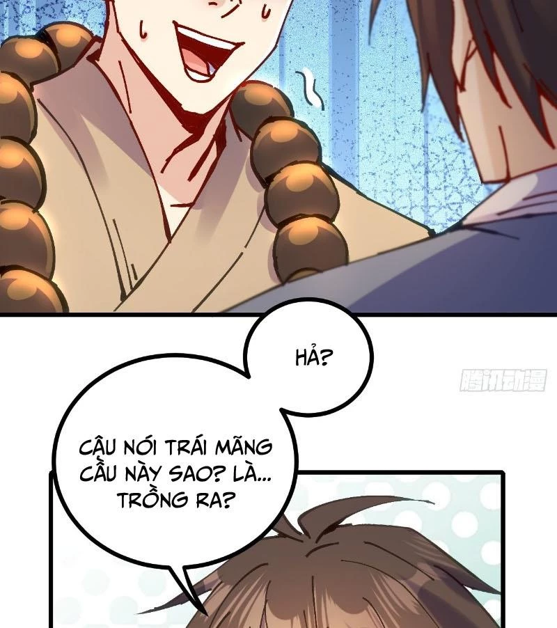 Chưa Từng Ra Tay Nhưng Ta Vẫn Thành Đại Lão Trên Thiên Bảng Chapter 19 - Trang 4