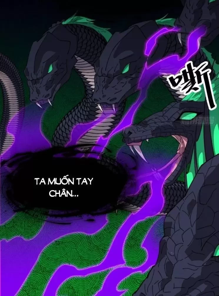 Ta Có Một Sơn Trại Chapter 945 - Trang 4