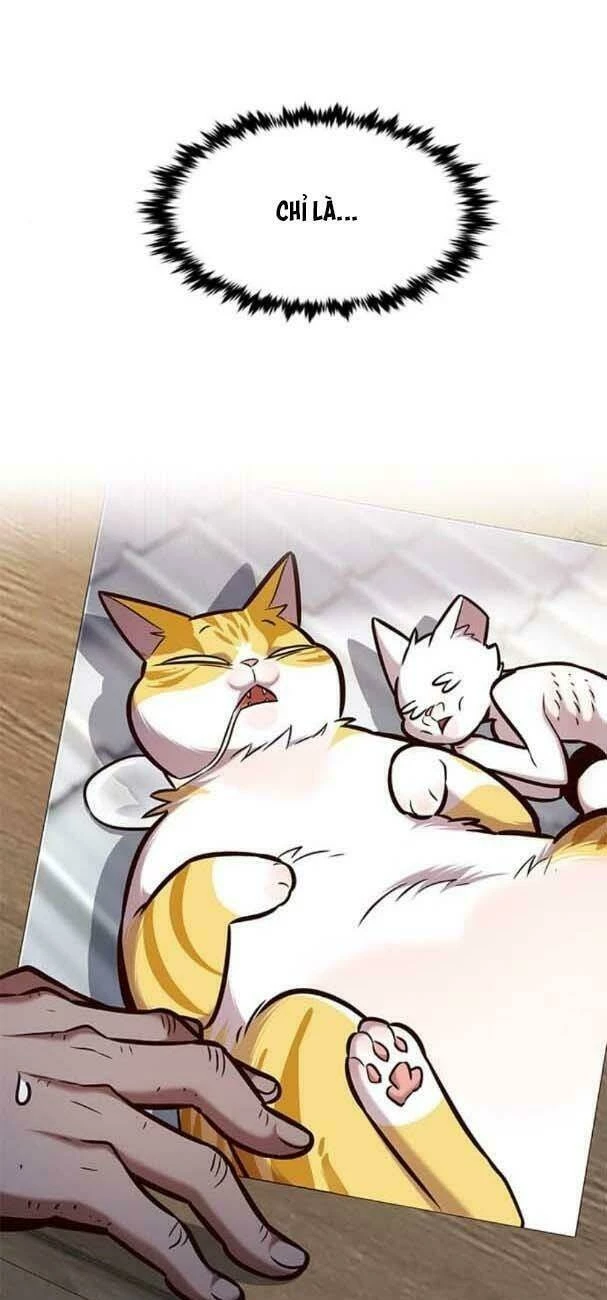 Hoá Thân Thành Mèo Chapter 193 - Trang 3